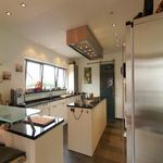 Die Bauschlussreinigung einer neuen Küche, eines ganzen Hauses